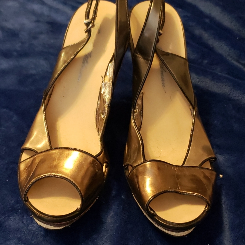 Beverly Feldman Metallic Wegde